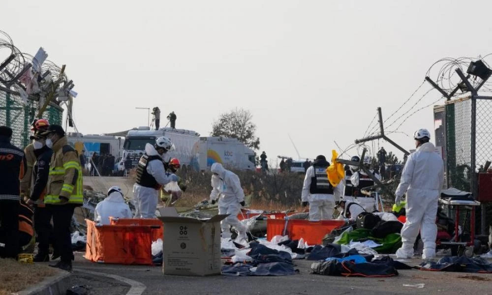 Ανατροπή με τη συντριβή του Boeing 737 στην Ν. Κορέα: «Δεν ευθύνονται τα πουλιά» λένε οι ειδικοί